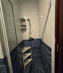 Tanglin Regency (D10), Condominium #574201881